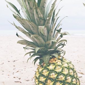 Meet your Posher, Tabitha